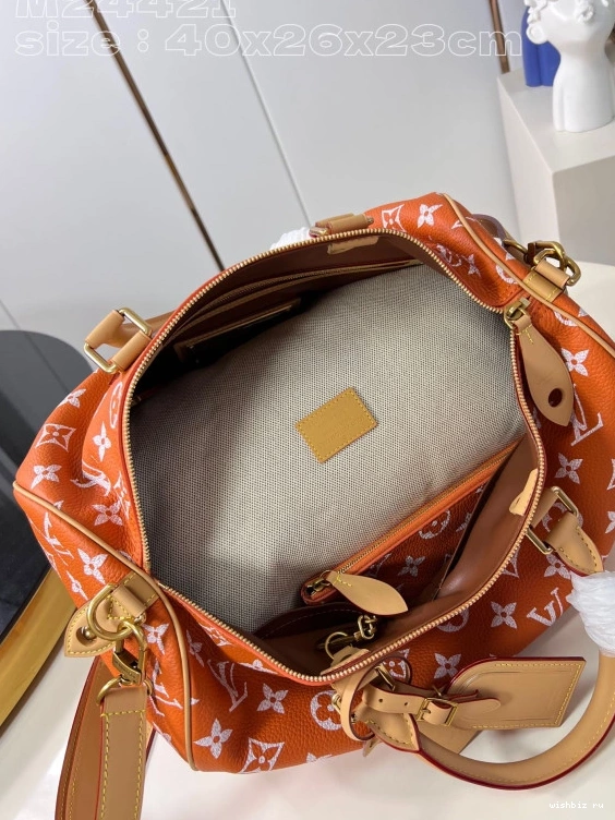 WIS SPEEDY Louis Vuitton 40 0307